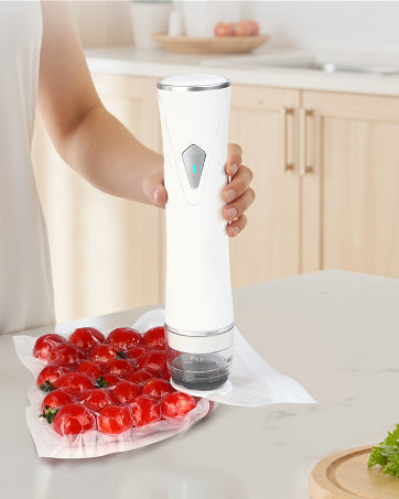 FreshSeal handheld vacuum sealer